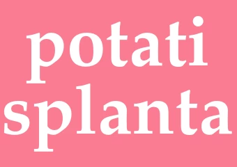 Synonym potatisplanta