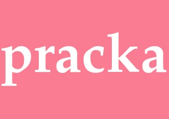 Synonym pracka