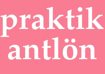 Synonym praktikantlön