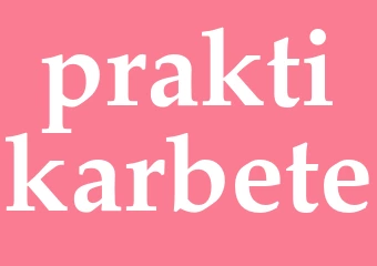 Synonym praktikarbete