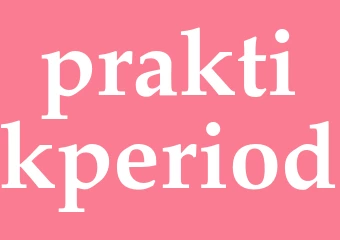 Synonym praktikperiod