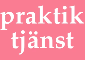Synonym praktiktjänst