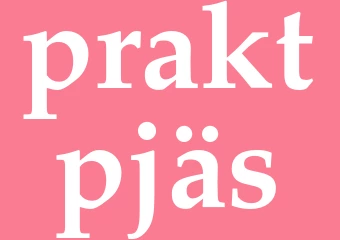Synonym praktpjäs