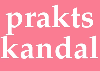 Synonym praktskandal
