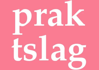 Synonym praktslag