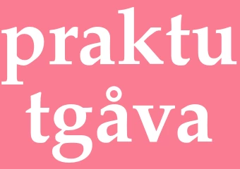 Synonym praktutgåva