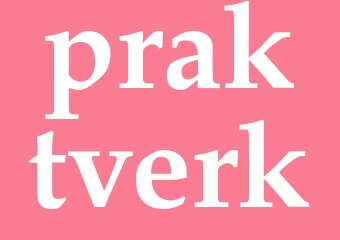 Synonym praktverk