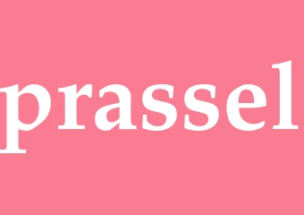 Synonym prassel