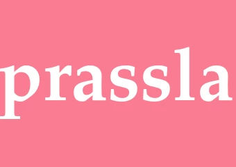 Synonym prassla