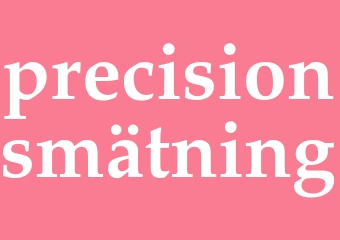 Synonym precisionsmätning