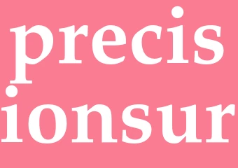 Synonym precisionsur