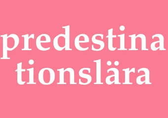 Synonym predestinationslära