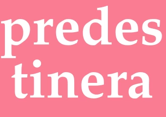Synonym predestinera