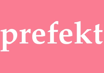 Synonym prefekt