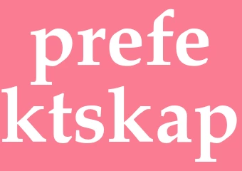 Synonym prefektskap