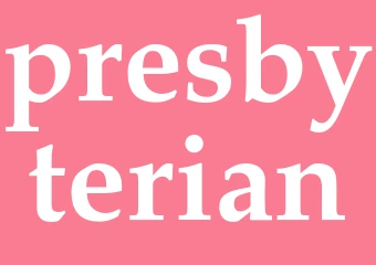 Synonym presbyterian