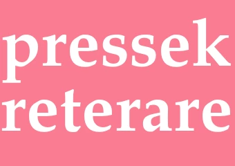 Synonym pressekreterare