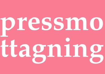 Synonym pressmottagning