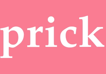 Synonym prick