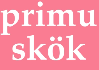 Synonym primuskök