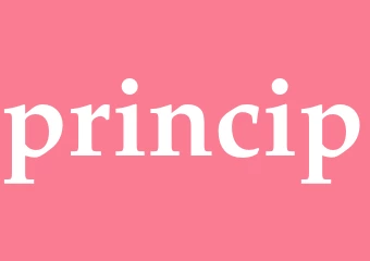 Synonym princip