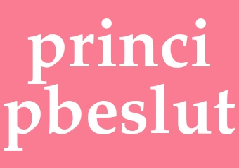 Synonym principbeslut