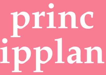 Synonym principplan