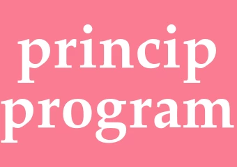 Synonym principprogram