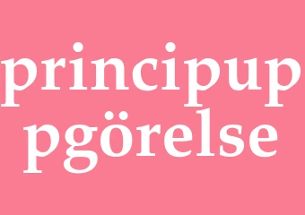Synonym principuppgörelse