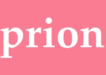 Synonym prion