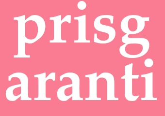 Synonym prisgaranti