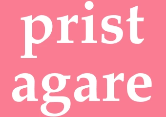 Synonym pristagare