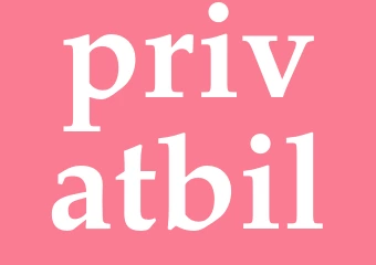 Synonym privatbil
