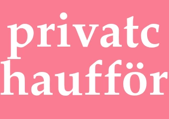 Synonym privatchaufför