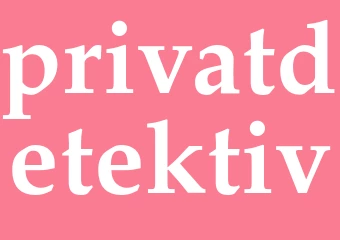 Synonym privatdetektiv