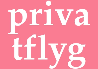 Synonym privatflyg