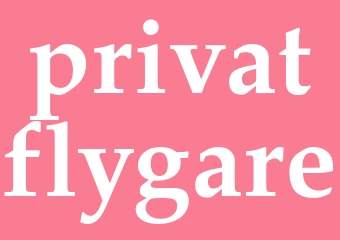 Synonym privatflygare