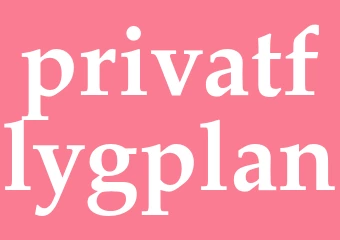 Synonym privatflygplan