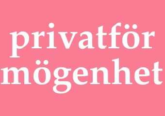 Synonym privatförmögenhet