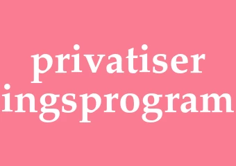 Synonym privatiseringsprogram