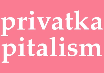 Synonym privatkapitalism