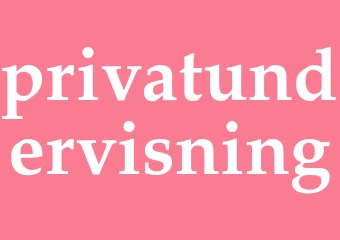 Synonym privatundervisning