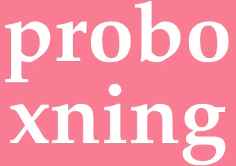 Synonym proboxning