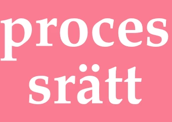 Synonym processrätt