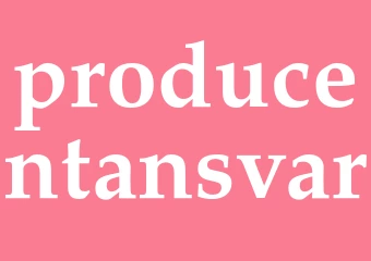 Synonym producentansvar
