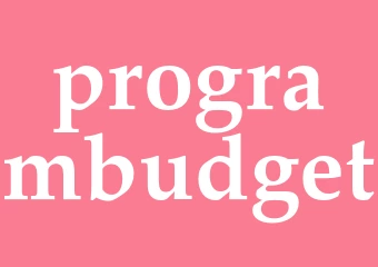 Synonym programbudget