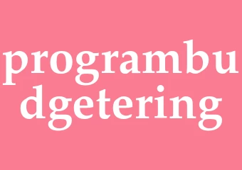 Synonym programbudgetering