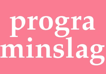 Synonym programinslag