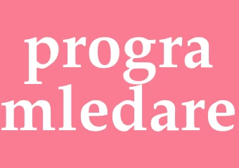 Synonym programledare