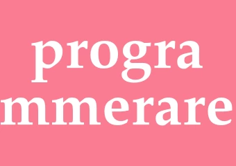 Synonym programmerare
